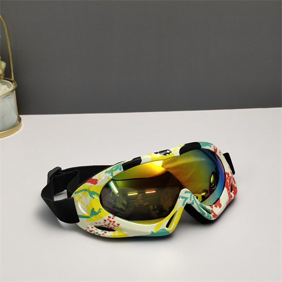 Oakley Ski Goggles 020